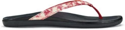 OluKai Women's Ho'opio
