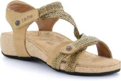 Taos Trulie -Englinsfinefootwear taos women trulie camel tru 16406 cml 79327.1682088053